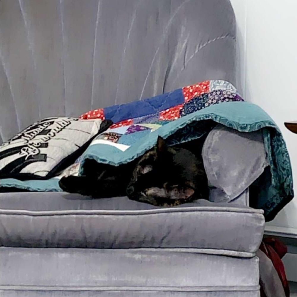 Meet your Posher, Spacetgod